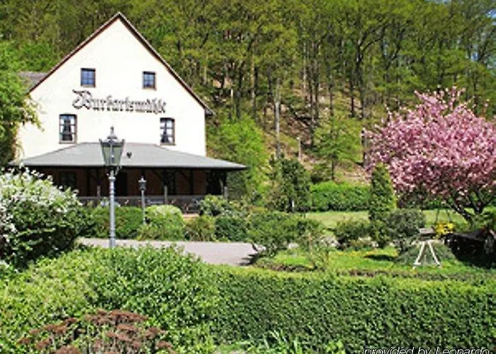 Burkartsmühle 3* Hofheim am Taunus